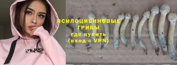 spice Арсеньев