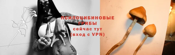гидра Алзамай