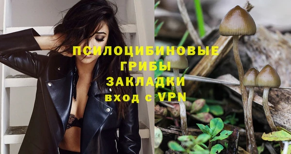 spice Арсеньев