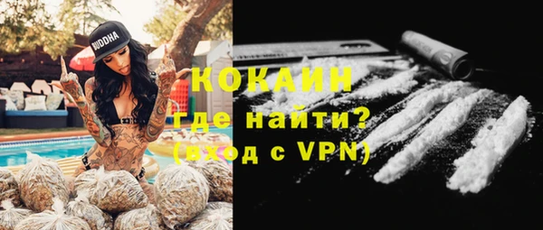 шишки Армянск