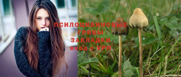 шишки Армянск