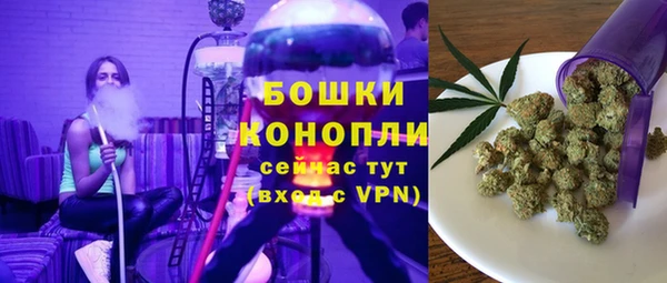 spice Арсеньев