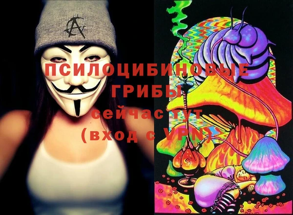 spice Арсеньев
