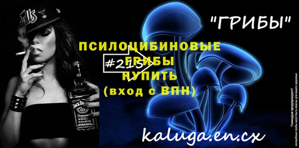 шишки Армянск