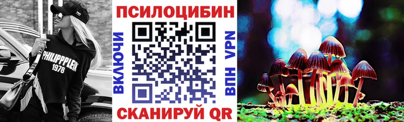 гидра сайт  Шумиха  Псилоцибиновые грибы мухоморы 